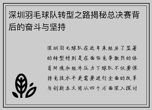 深圳羽毛球队转型之路揭秘总决赛背后的奋斗与坚持